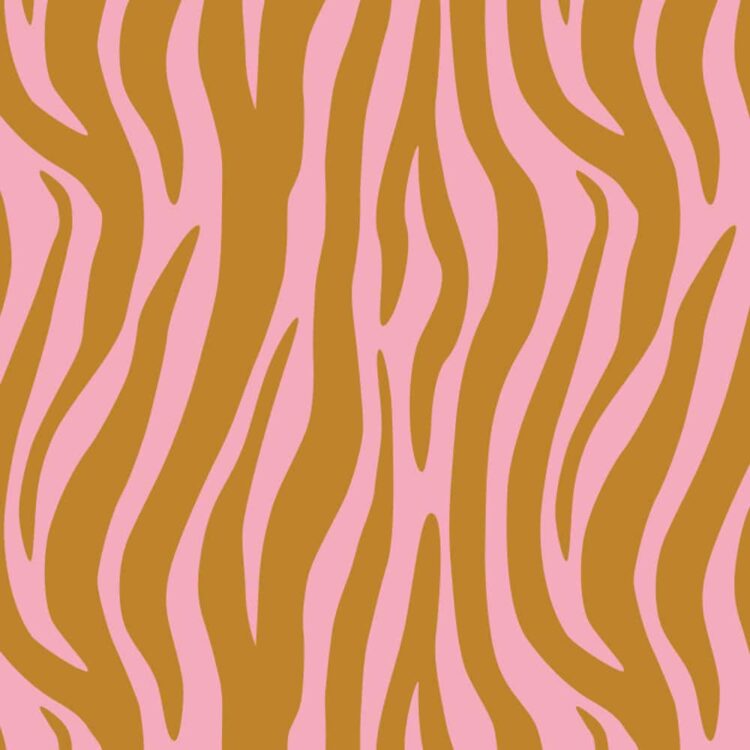 Sunrise Zebra Golden