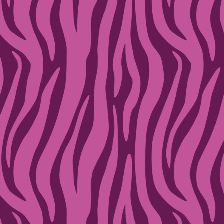 Sunrise Zebra Purple
