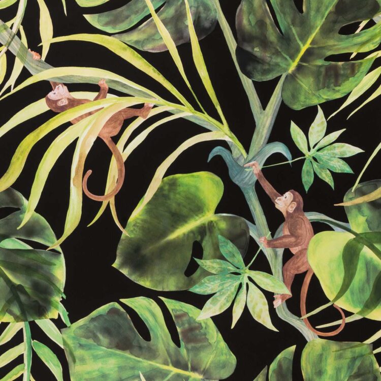 Exotica 2 - Monkey Business
