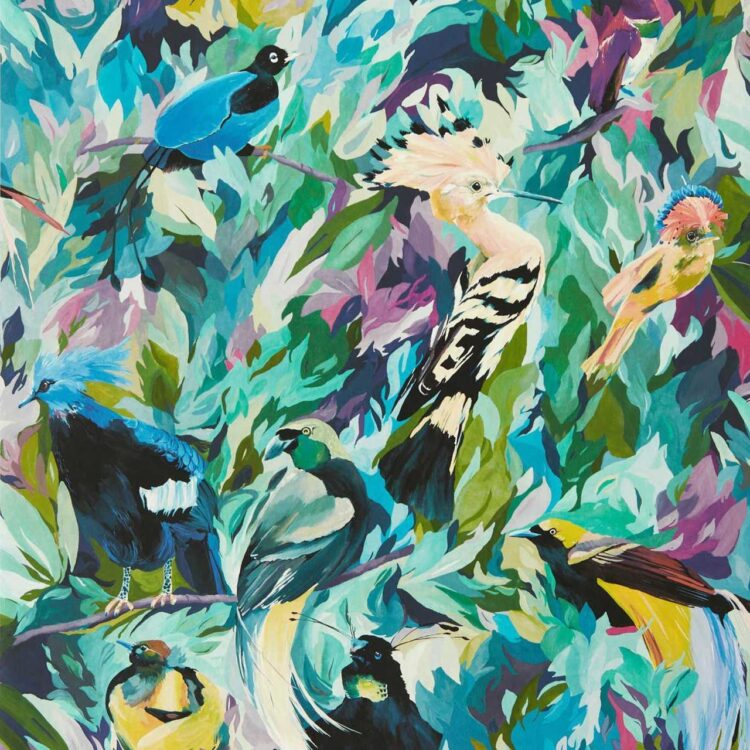 Colour 1 - Dance of Adornment