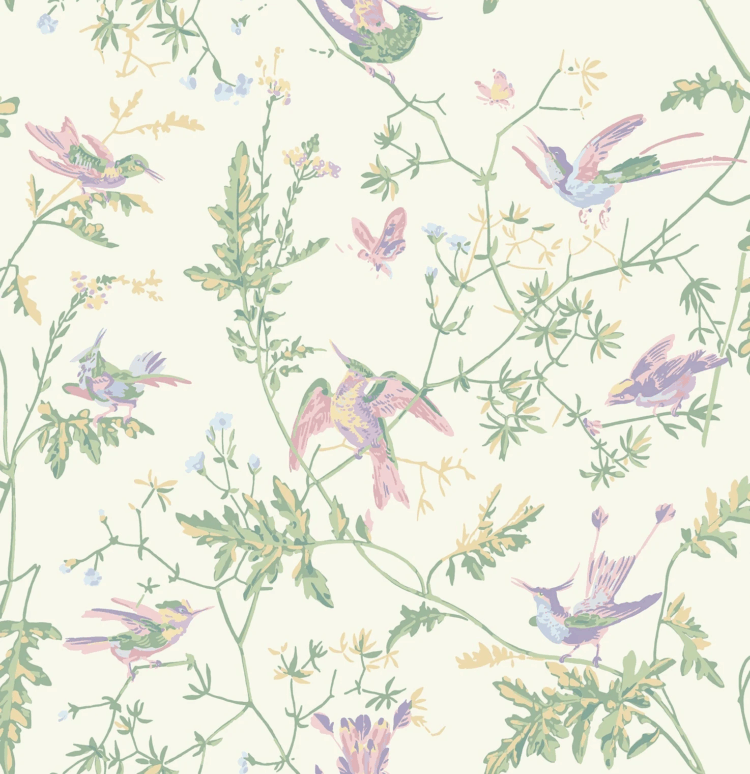 Selection of Hummingbirds - Hummingbirds